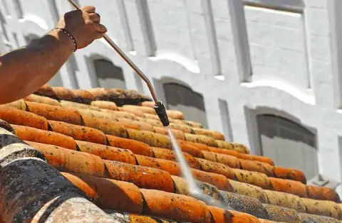 Nettoyage de toitures - Mas-de-Londres